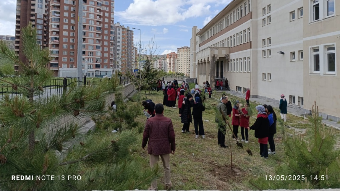 Okul Bahçemizi Ağaçlandırdık
